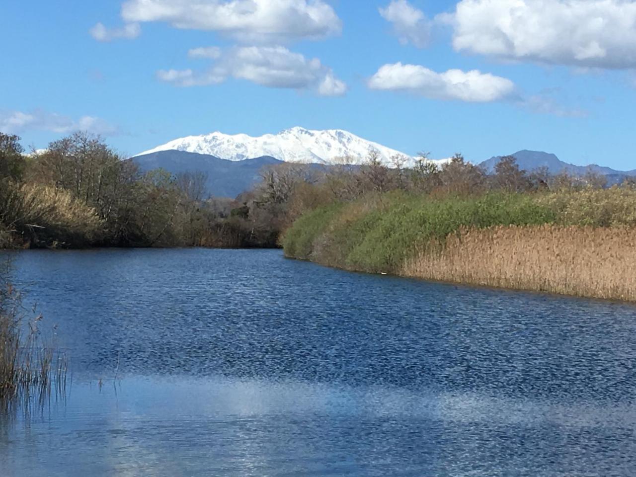 Le Clos Des Arbousiers Linguizzetta Buitenkant foto