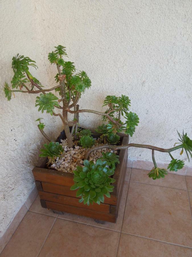 Le Clos Des Arbousiers Linguizzetta Buitenkant foto